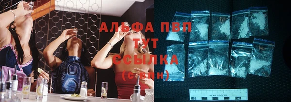 сатива Алексин